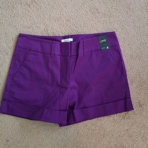 New York and company shorts